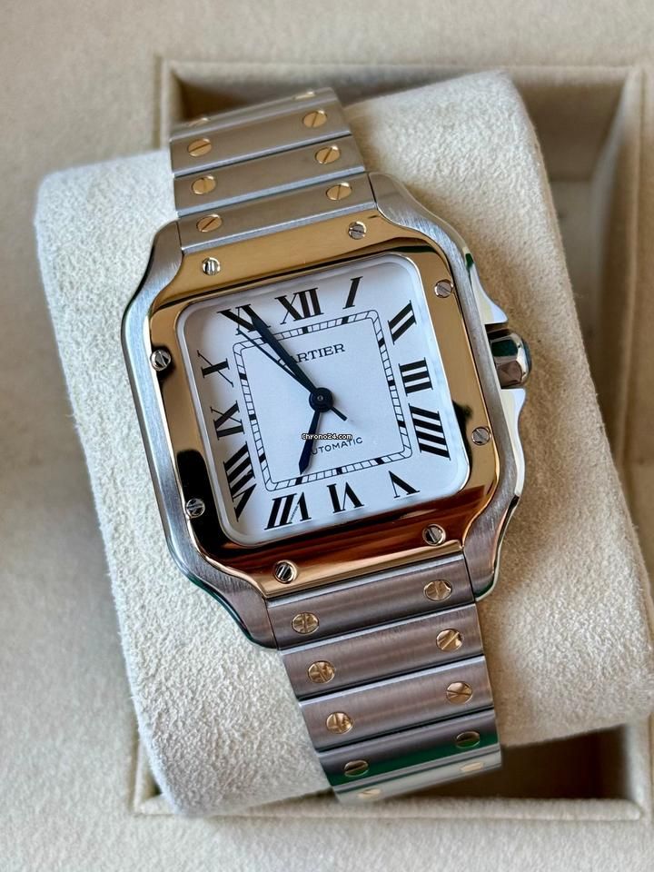 Giải mã sức hút từ bộ vỏ tinh xảo Cartier Santos 2